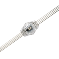 Lampes LED SMD3535 RGB haute luminosité, contrôle SPI DC12V, pour éclairage paysager, décoration, fêtes, bars, événements extérieurs