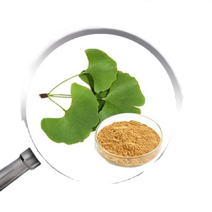 유기농 은행 나무 <span class=keywords><strong>biloba</strong></span> 추출물 24% 플라보노이드 은행나무 <span class=keywords><strong>biloba</strong></span> - Product Image 1