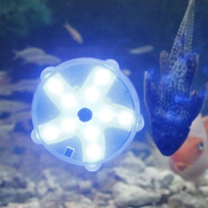 Bajo el agua sumergible LED <span class=keywords><strong>luces</strong></span> <span class=keywords><strong>a</strong></span> prueba de agua de Color de la baterí<span class=keywords><strong>a</strong></span> operado lámpara <span class=keywords><strong>para</strong></span> bañera caliente estanque piscina fuente de iluminación - Product Image 3