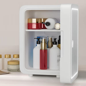 Aangepaste Aanpasbare Aangepaste Logo Kleur Branding Thermo-Elektrische Koeling Beauty Koelkast Huidverzorging Mini