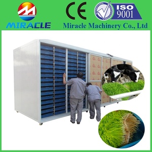 Machine de culture de haricots hydroponiques, 50 pièces, pour semis de haricots hydroponiques, d'entraînement - Product Image 4