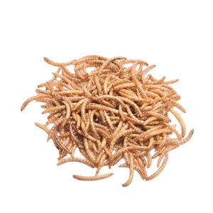 Mealworm Yellow Mealworm High Protein Bird Turtle Hamster Special Snack Worm Dried Bird Food Pigeon Food