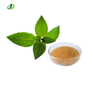 Doğal Kedi Nanesi Kedi Otu Ekstresi Kedimeni Nepeta Catario Toz Ekstresi 20:1 - Product Image 1