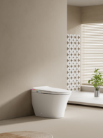 WC intelligent électrique moderne 110V/220V, cuvette de toilette en céramique de luxe, toilette intelligente automatique avec bidet, fixation murale