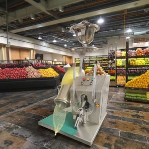 Empaquetadora de Verduras y Verduras, Máquina Empaquetadora de Red de Frutas y Verduras - Product Image 3