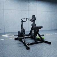 Máquina de remo multifuncional para entrenamiento de espalda, equipo de fitness para remo sentado, suministro directo de fábrica al por mayor