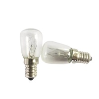 Ampoule de remplacement pour lampe de sel de roche E12 E14, ampoules de 15 watts pour lampe de sel de l'Himalaya