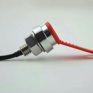 Sonde magnétique iButton très vendue pour le contrôle d'accès. - Product Image 3