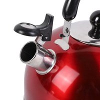 RTS 3L Bouilloire à thé en acier inoxydable 201 Bouilloire à eau Bouilloire de camp