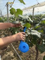 Machine à attacher les plantes agricoles compatible avec le ruban standard et les agrafes 604C