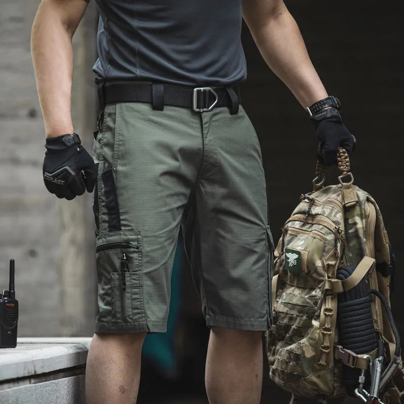 Pantaloncini Beetle grigio verde