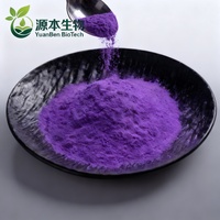 Poudre de jus de patate douce violette 100 % pure, sauvage et entièrement naturelle, de haute qualité et la plus vendue