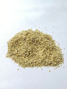 เมล็ดพันธุ์มะเขือเทศไฮบริด Botani Diva F1: ผลผลิตสูง อายุการเก็บรักษายาวนาน ผู้จัดจำหน่ายเมล็ดพันธุ์ - Product Image 5