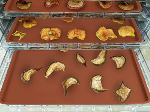 Alfombrillas deshidratadoras de <span class=keywords><strong>silicona</strong></span> con hojas de <span class=keywords><strong>silicona</strong></span> Edg compatibles con el forro de bandeja de <span class=keywords><strong>silicona</strong></span> antiadherente <span class=keywords><strong>Cosori</strong></span> - Product Image 4