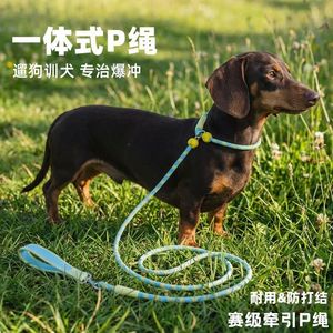 Correa para perros tipo P de una pieza, anti-nudos, duradera, para entrenamiento de perros pequeños - Product Image 1