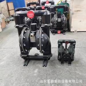 Pompe à diaphragme pneumatique Bqg350 0.2 avec raccord à bride DN50 pour le drainage des mines - Product Image 5