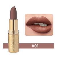 Maquillage 12 Couleurs Étanche Velours Feuille D'or Tube Brillant Rouge À Lèvres Longue Durée Lisse Nude Mat Rouge À Lèvres