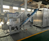 Automatische die-gesmeed snoepgoedmachine voor de productielijn van platte fruitlollies