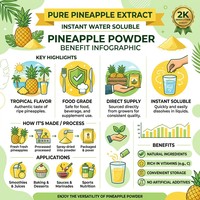 Natuurlijk Wild Blueberry Fruitpoeder met Vitamine C & Bromelaïne, Pure Food Grade, 1kg in plastic verpakking FVP-14