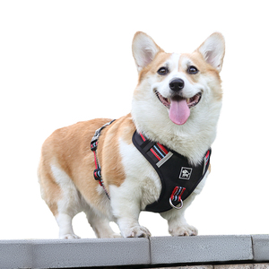 Fabricantes de Coleiras para Cães em Tamanhos Pequeno, Médio e Grande, Coleira Impermeável para Caminhada e Corrida - Product Image 1