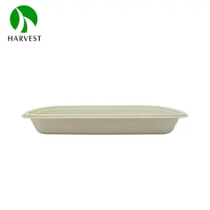 500ml Biodegradable Sugarcane Pulp Container Food Paper Box Made from Bamboo Sustainable Alternative Material