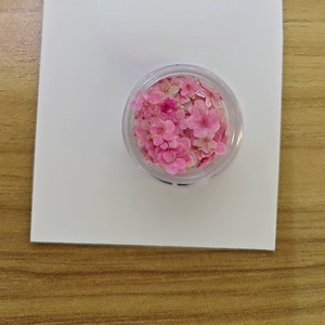 Incarnazione naturale Nail Dry Flower colorati fiori secchi decorazioni per Nail Art - Product Image 5