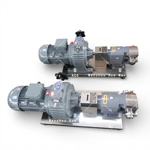 Venta Directa de Fábrica Ace: Bomba Lobulada Rotativa de Acero Inoxidable, Bomba Sanitaria de Alta Eficiencia, Personalizable OEM - Product Image 1