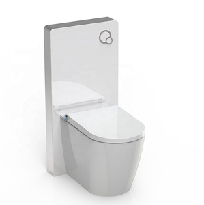 Toilette intelligente monobloc murale avec bidet électronique hygiénique pour femmes - Product Image 3