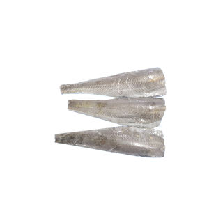 Filets <span class=keywords><strong>de</strong></span> <span class=keywords><strong>Hoki</strong></span> Congelés en Gros (Macruronus Magellanicus) pour les Distributeurs <span class=keywords><strong>de</strong></span> Services Alimentaires Quantité en Gros Service OEM Disponible - Product Image 2