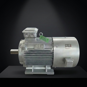 Générateur à aimants faibles 10 KW 100 RPM à entraînement direct pour éolienne - Product Image 6