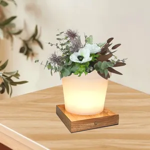 Pot de fleurs pour l'extérieur, lampe décorative LED pour jardin, cour, salon, balcon