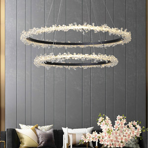 Lampadario <span class=keywords><strong>a</strong></span> Led in cristallo anello in oro lampada <span class=keywords><strong>da</strong></span> soffitto <span class=keywords><strong>per</strong></span> <span class=keywords><strong>camera</strong></span> <span class=keywords><strong>da</strong></span> <span class=keywords><strong>letto</strong></span> lampada <span class=keywords><strong>a</strong></span> <span class=keywords><strong>sospensione</strong></span> <span class=keywords><strong>per</strong></span> sala <span class=keywords><strong>da</strong></span> pranzo lampadario <span class=keywords><strong>a</strong></span> <span class=keywords><strong>sospensione</strong></span> moderna di lusso <span class=keywords><strong>a</strong></span> <span class=keywords><strong>sospensione</strong></span> - Product Image 5