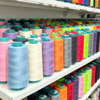 Fils à coudre en polyester 40S/2 pour machine à coudre, disponibles en plus de 2000 couleurs, 3000 yards en stock