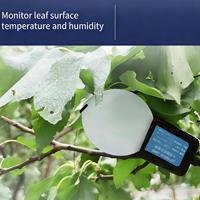 Capteur d'humidité des feuilles intelligent CDW-22A CODA pour l'agriculture, avec indice IP65 et précision de 5 %, pour la surveillance des pulvérisations et le jardinage