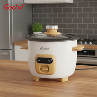 Cuisinière à riz électrique portable mini 2L en acier inoxydable, vente en gros d'usine, OEM 220V, antiadhésive, cuisson rapide, contrôle mécanique du minuterie