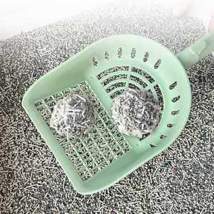 <span class=keywords><strong>พลั่ว</strong></span>สำหรับแมวทุกประเภทอุปกรณ์เพาะพันธุ์สัตว์เลี้ยง - Product Image 3