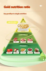 कार्यालय के कर्मचारी मशरूम और चिकन स्वाद 40 ग्राम ओटमील का कप उच्च प्रोटीन पौष्टिक अनाज चावल मुक्त पोराज खा सकते हैं। - Product Image 6