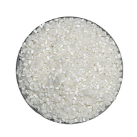 Granulés de résine PS vierge pour le compoudage, à mélanger avec des additifs pour créer un composite de polystyrène fonctionnel personnalisé