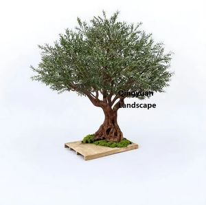 Grand <span class=keywords><strong>olivier</strong></span> artificiel personnalisé bon marché pour la décoration extérieure intérieure de restaurant d'hôtel Simulation d'<span class=keywords><strong>olivier</strong></span> de fausse plante - Product Image 5