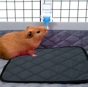 Tapis de cage super absorbant pour <span class=keywords><strong>cochon</strong></span> <span class=keywords><strong>d</strong></span>'<span class=keywords><strong>Inde</strong></span> 30*30cm, coussin anti-fuite pour urine <span class=keywords><strong>d</strong></span>'animaux, réutilisable, durable, lavable, pour petits animaux, tapis absorbant pour pipi - Product Image 5