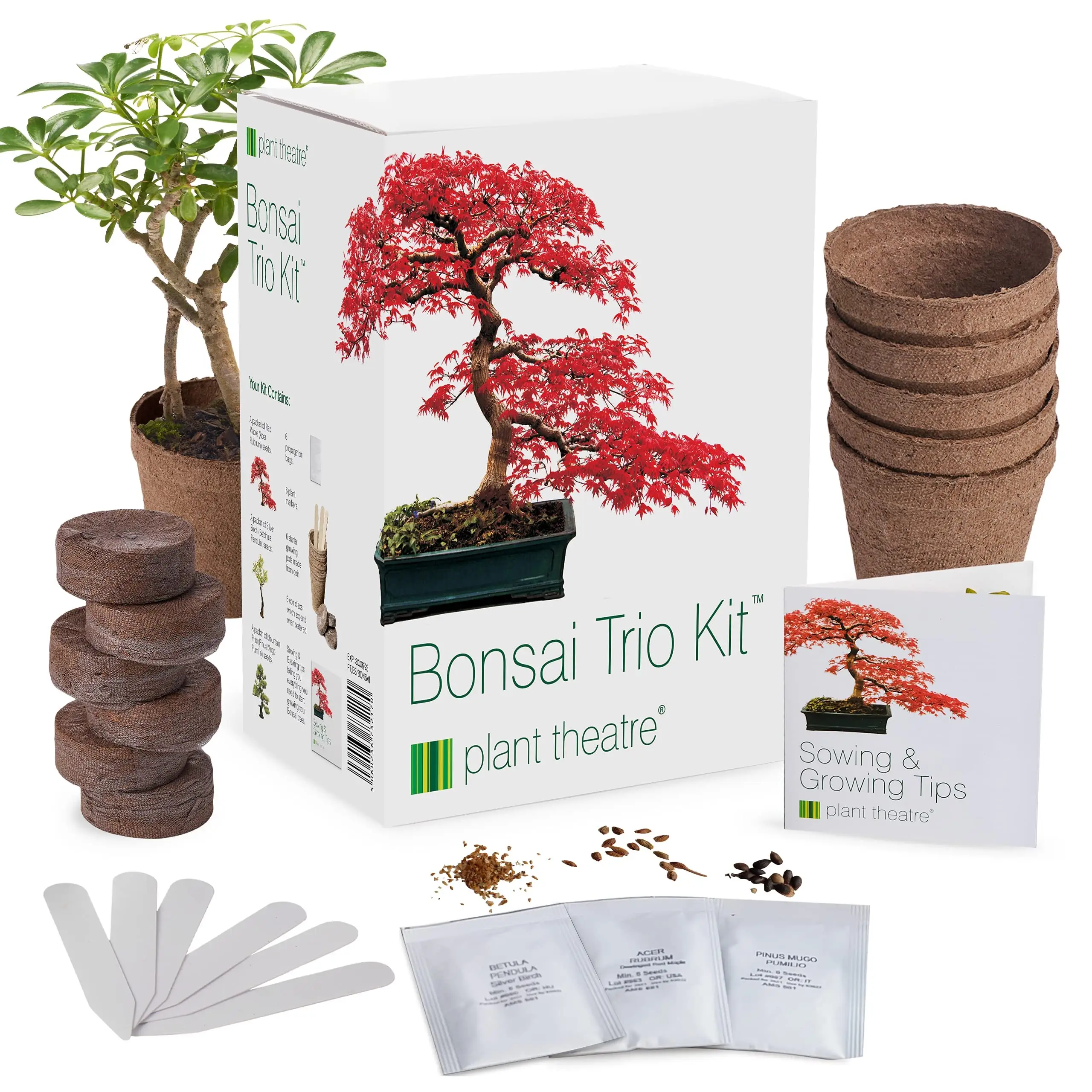 Kit de plantación de árbol de bonsái para niños, Kit de jardín interior respetuoso con el medio ambiente certificado orgánico USDA