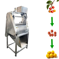 SM Industriële Automatische Kersenontpitter Fruitontpittermachine met Laag Energieverbruik 1,5kW Vermogen 250-500kg/u Capaciteit