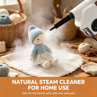 Nettoyeur vapeur portable sans produits chimiques, chauffage en 15 secondes, pression vapeur 2,6-3,2 bars, puissance 1200W, réservoir 350ml, multi-usages pour la maison et le commerce