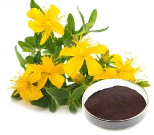 Estratto in Polvere di Erba di San Giovanni Selvatica Biologica Marine Genesis Bio-Tech, 0,3% Ipericina, Confezionato Sottovuoto in Fusto - Product Image 1