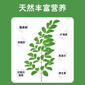 Alimento para Pájaros con Hojas de Moringa, Lata de 400 ml para Loros, Bocadillos Ecológicos - Product Image 3