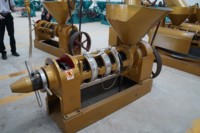 Máquina Prensa de Aceite para Semillas de Cacahuete, Soja y Girasol con Control de Temperatura YZYX140WK, Suministro Directo de Fábrica para Exportación