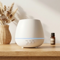 Diffuseur d'huiles essentielles ultrasonique portable à brume froide alimenté par USB, éclairage LED, design écologique, 101-200 ml