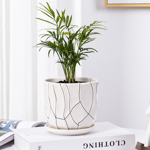 Maceta creativa pintada <span class=keywords><strong>a</strong></span> <span class=keywords><strong>mano</strong></span> para sala de estar, escritorio, balcón, decoración, maceta suculenta, maceta de cerámica blanca, venta al por mayor - Product Image 3