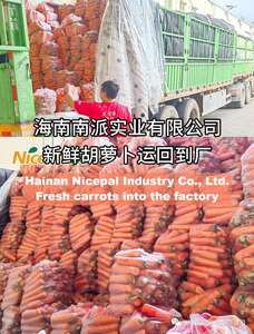 スプレー乾燥ニンジンパウダー-天然ベータカロチン (ビタミンa前駆体) 、可溶性繊維、即刻溶解 - Product Image 3