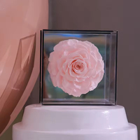 Rose éternelle géante en gros, 1 tête, avec base miroir, boîte carrée en acrylique, arrangement floral au toucher réel, Saint-Valentin, remise des diplômes